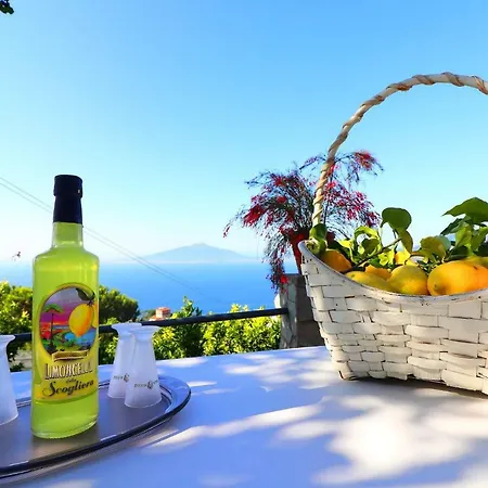 La Rosa Del Sud - De Vivo Realty Sorrente